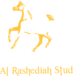 Al Rashediah Stud